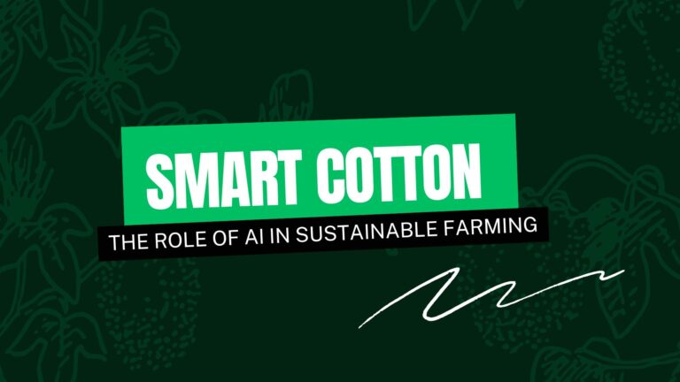 Smart Cotton The Rise of sustainable cotton farming promoting best practices for efficient cotton spinning in textile manufacturing.