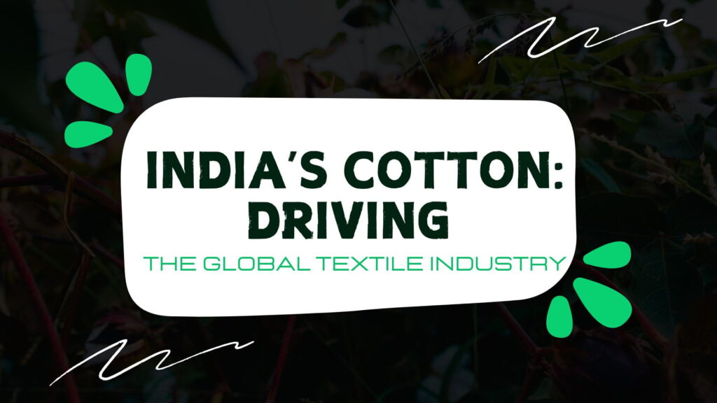 An overview of India’s cotton industry, showcasing cotton bales and highlighting the country's role in global textile production, sustainability, and organic farming practices.